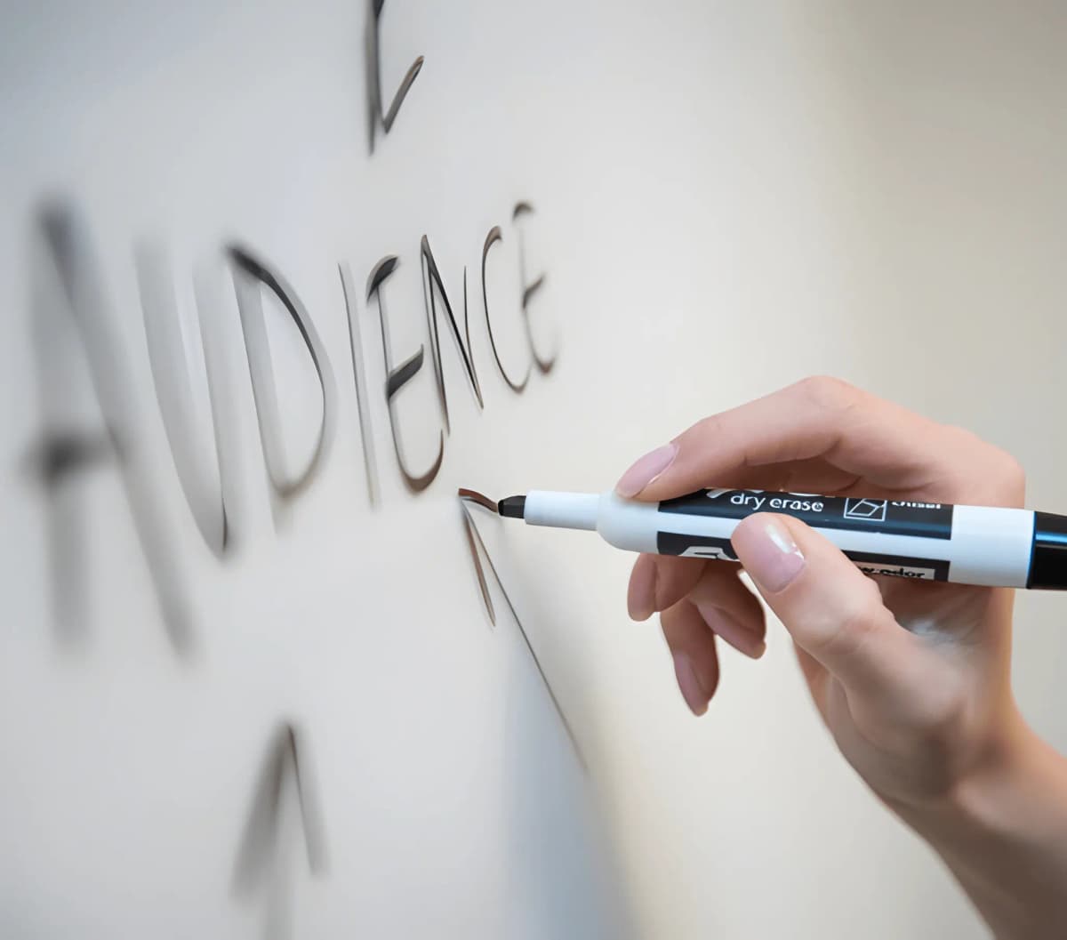 Performance Marketing & Growth